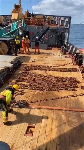 Installing Navigation Buoy #lifeatsea #buoy #navigation 🚢 | Seaman Worldwide