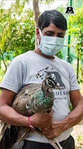 Wildlife SOS on Reels