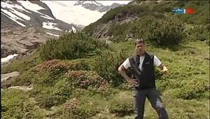 Die GeiWaidler - Samma Ehrlich
