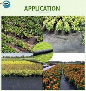 [Hot Item] Woven Heavy Duty Garden Control Cloth Weed Blocker Garden Ground Cover Fabric