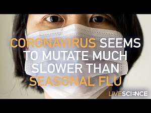 Coronavirus seems to mutate much slower than seasonal flu