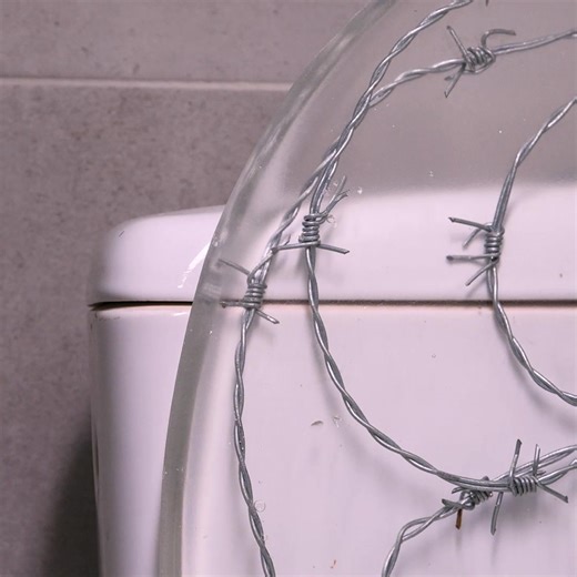 448K views · 2.1K reactions | Toilet Seat With Razors | Bored Panda Art | Facebook