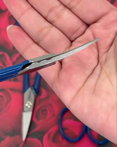 ✂️ Any scissor, any length! ✂️� Curved Scissor, 1-1/2" Curved Blade, 7" Length Stock No: 718112 Price: $15.50 Each https://thunderbirdsupply.com/7quot-curved-scissor Email: mailorder@thunderbirdsupply.com ☎️Call: 1-800-545-7968 Visit us in-store  or shop online #thunderbirdsupplyco #wherebeautybegins #curvedscissor #scissors | Thunderbird Supply Company | Facebook