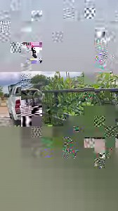 11 reactions · 61 shares |  Exciting Update! Top-notch GRAFTED...