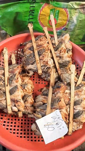 Roasted Frog in Thailand😋 | Alfred Basumatary