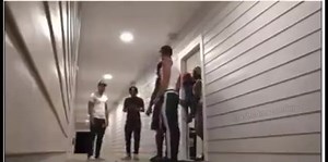 1.1K views · 26 reactions | Wait for it | The Humorals | Facebook