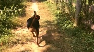 19 reactions | Our buddies are livin' it up at the BuddyFarm | Buddy Boarding Farm | Facebook