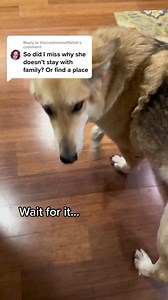 It seems hard for people to truly understand how much we love our home. ♥️ | Linnea & Akela