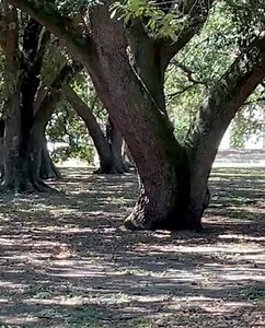 Telemundo 42 on Reels