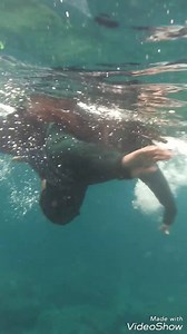 6.2K views · 112 reactions | Snorkeling around Mai Thon beach,Phuket | Sakia Haque | Facebook