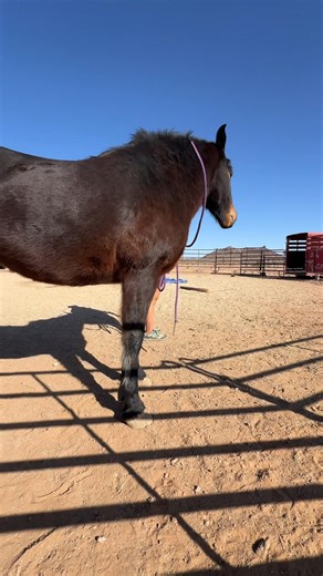 1.2K views · 37 reactions | Giving to pressure | Scout's Trail | Facebook