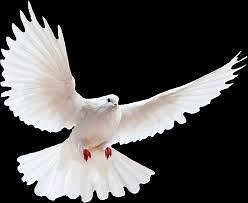 Michigain MBTC | Mission Teens Inc. | Facebook