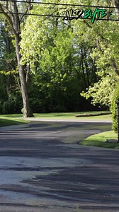 why opossum has a bare tail? #Opossum #OpossumTail #BareTail #PrehensileTail #Marsupial #AnimalAdaptations #WildlifeFacts #NatureExplained #AnimalBiology #Evolution #NocturnalAnimals #WhyAnimals #NatureSecrets #AnimalFacts #WildlifeCuriosity | WildByte