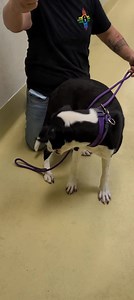 5.7K views · 853 reactions | SAFE!! YOUNG EF07 RINGWORM SUSPECT...