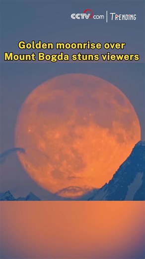 A stunning full moon rose over Mount Bogda, the main peak of the Tianshan Mountains in Xinjiang Uygur Autonomous Region, casting a golden glow across the snow-capped peaks. The breathtaking scene reached its climax as an airplane crossed the lunar disk, turning the night sky into a natural spectacle that captivated viewers. #Trending | CCTV