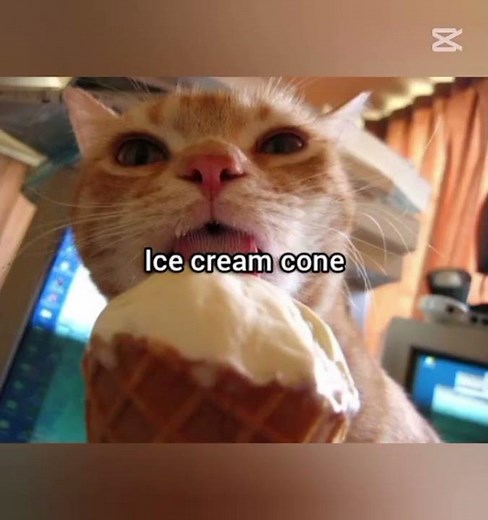 Get yo pasty chicken bone google chrome...