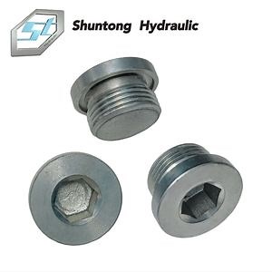 [Hot Item] Hydraulic Adapter SAE Male O- Ring Boss Hollow Hex Plug