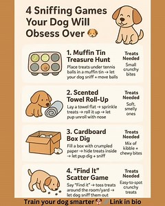 Your dog doesn’t need more toys… they need more sniffing 👃🐾 These 4 simple sniffing games turn everyday items into brain workouts your pup will LOVE. Mental stimulation = calmer, happier dogs 🧠✨ Which game will you try first? ⬇️👇 . Learn more - 🔗 link in bio | Pet Pilot