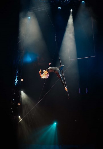 Incredible Aerial Pole Performance at the Circus