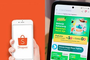 Transaksi Paylater Tokopedia Melejit, tapi Shopee Pemimpinnya - Fintech Katadata.co.id