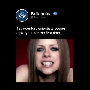 9.7K views · 198 reactions | Initially, scientists thought the unlikely animal was a hoax. "It naturally excites the idea of some deceptive preparation by artificial means," English zoologist George Shaw wrote in 1799. | Encyclopaedia Britannica | Facebook