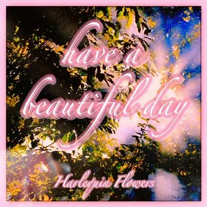 My North Georgia Realtor on Reels