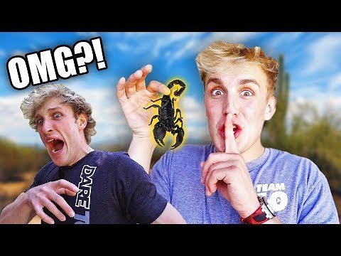 THIS PRANK ALMOST MADE LOGAN CRY!! *revenge*