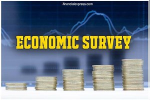 Economic Survey 2020: Government committed to supporting MSME sector