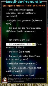77K views · 2.5K reactions | Conjugarea verbului "sein" cu Exemple - Lecții de Pronunție în Germană #Sein #Verbkonjugation #AusspracheDeutsch #DeutschLernen #GrammatikDeutsch #BeispieleDeutsch #ConjugareaVerbelor #LecțiiDePronunție #ÎnvățareGermană #LimbaGermană #CursuriOnline #PronunțieGermană | Învață Germană fără Profesor | Facebook