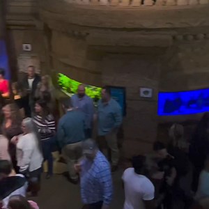 277 reactions · 35 shares | Don't Miss Fish & Sips! | Long Island Aquarium | Facebook