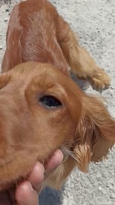 DALMAÇYALI K.E.M. on Reels