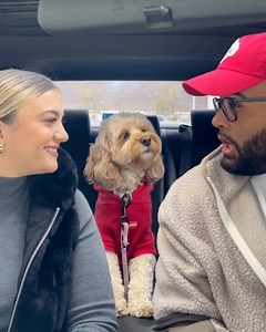 269K views · 11K reactions | Luna loves practising english and maths with her dad 易 | Furry Tails | Facebook