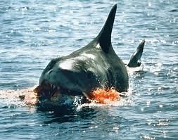 Conventions of the Horror Genre