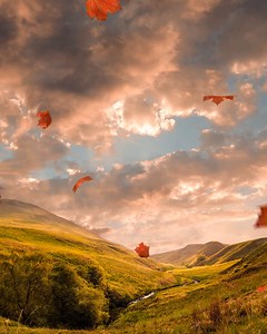 As soon as that first leaf falls, it can only mean one thing… Autumn is on its way to the Ochil Hills. More weather, more rain, more water - we love it. | Highland Spring