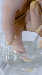 Zinc Reacts Hydrochloric Acid Beaker Stock Footage Video (100% Royalty-free) 3749604345 | Shutterstock