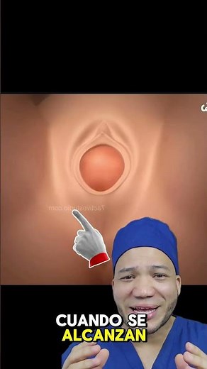 ¡Así nace un bebé paso a paso! parto vaginal