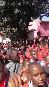 MDC supporters protest in Harare and threaten to invade the ZEC election center where results are being announced | Zimbabwe Today