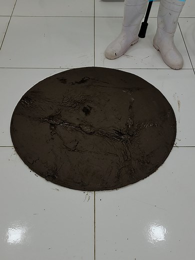 Muddy Carpet Rescue After Flood | Satisfying Rug Cleaning ASMR