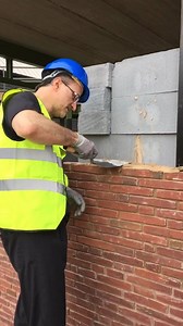 Professor Noel Fitzpatrick on Reels