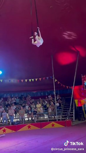 circusprincess on TikTok