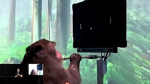 Elon Musk says Neuralink six months from first human brain implant