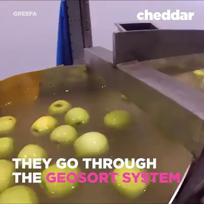 This is how apples are graded and packaged. 🍎 | Cheddar Gadgets