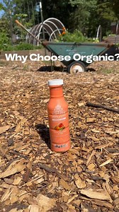 ✨ Why choose organic? Our guest collaborator from EarthDance Organic Farm School @earthdancefarms answers that question. Discover the benefits of organic farming and why it matters. Karviva is proud to support this amazing Ferguson, Missouri farm!  | Karviva Whole Plant Wellness Drinks | Facebook
