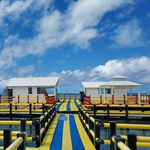 [Hot Item] 2026 Modular Floating Dock Floats and Floating Platforms