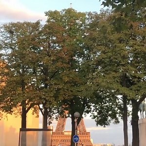 Paris, Always Amazing Café du Trocadéro Paris Crédit Photo: @nurerolnur Follow us on IG: @champselysees_paris www.champselysees-paris.com © Paris, Always an Amazing idea! #paris #parisalwaysanamazingidea #parisalwaysamazing #parisweloveyou #parisjetaime #cityscape #villedeparis #parismaville #parigi #Париж #巴黎 #パリ #पेरिस #باريس #toureiffel #eiffeltower #cafedutrocadero #crepes | Paris, France