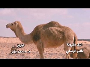 أجمل مجرونه بدويه الفنان#ناصر الرمحي#