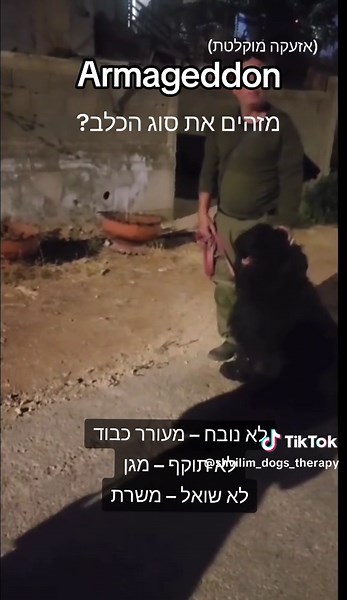 וויסקיפר Armageddon - בלאק טרייר רוסי. לא נובח – מעורר כבוד. לא תוקף – מגן. לא שואל – משרת. כלב שמירה והגנה. שקט. ממוקד. בלתי ניתן לעצירה. ארמגדון – שותף אמיתי ללוחמים. אלוף ישראל צעיר, אלוף ישראל, אלוף קפריסין, אלוף ישראל, אלוף בינלאומי 🏆 🎥 תראו את הסרטון – עבודה מדויקת עם לוחם גיבור. זה לא סרט אקשן – זו שליחות אמיתית! שבילים מרכז לכלבנות טיפולית Natasha Chechelnitski #טרייר_רוסי #כלב_שמירה #כלב_הגנה #שבילים_מרכז_לכלבנות_טיפולית