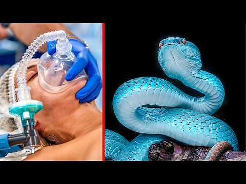 This SNAKE Bite KILLS in Seconds! (Deadliest Snakes in the World)