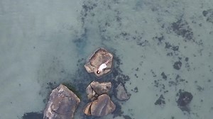 11K views · 112 reactions | Làm ZenFit kể cũng nhàn | Ly Phan | Facebook