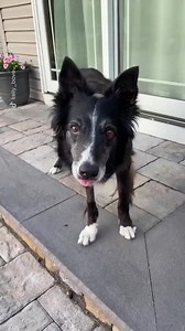 Heyyy Stranger (credit: TikTok - kelly_bove) | Go Fetch